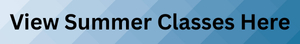 View Spring classes button
